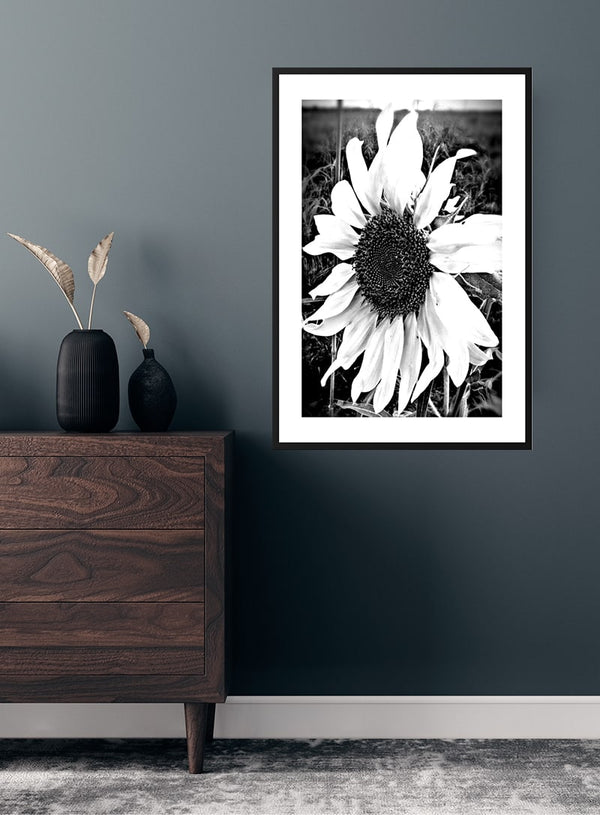 Big single sunflower poster