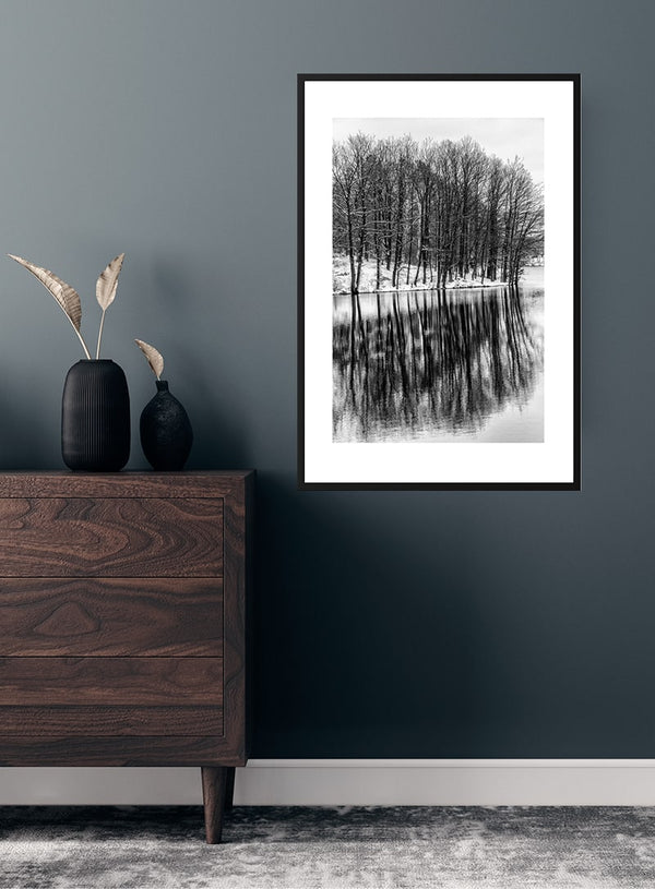 Træer der spejler i søen poster