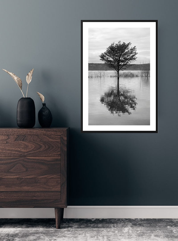Træ der spejler i søen poster