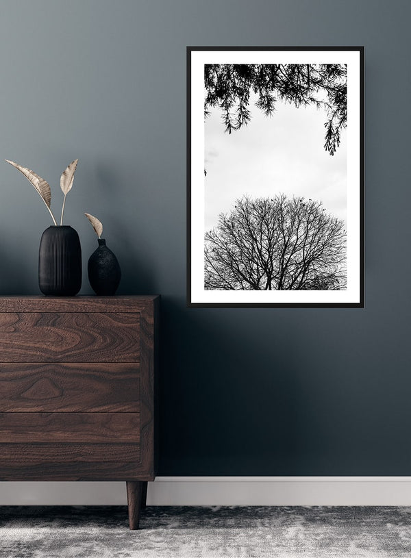 Trees and branches poster