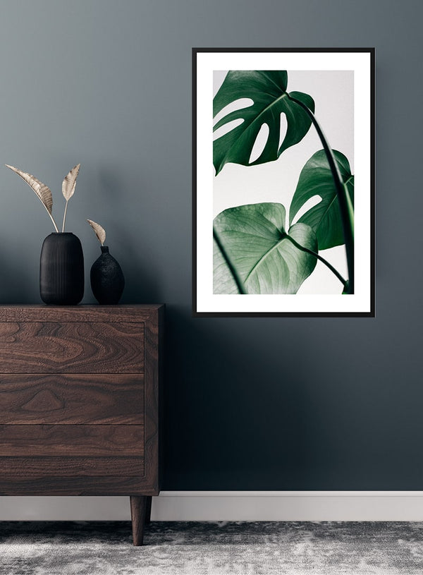 Monstera leaves poster
