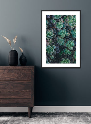 Green Sukkulent 2 poster featuring lush green succulents, displayed on a dark wall above a wooden dresser.