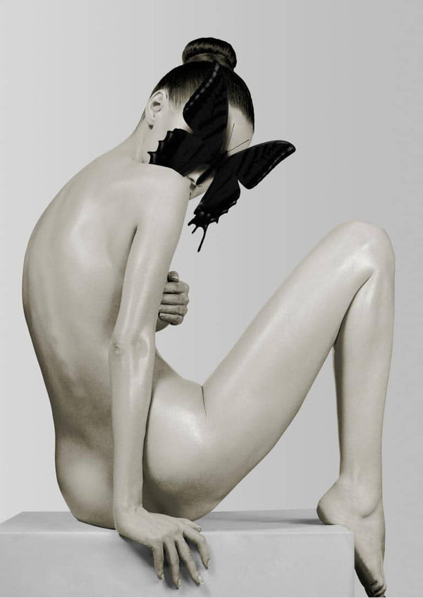 Lady butterfly 2 poster