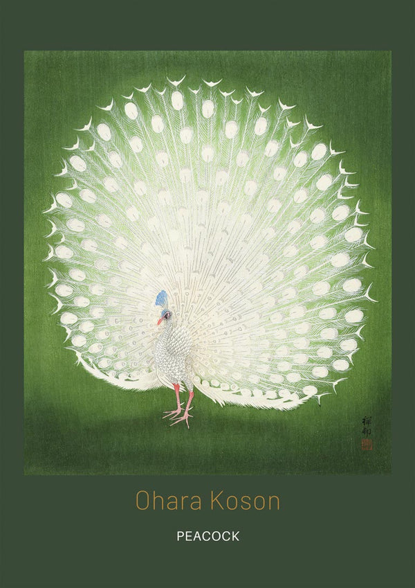 Peacock by Ohara Koson japansk kunstposter