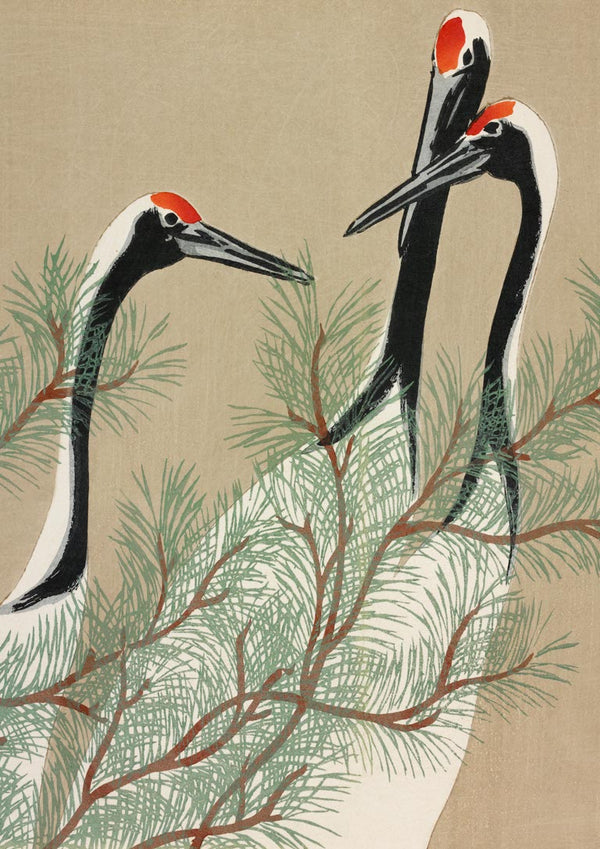 Traner fra Momoyogusa 1909 Poster