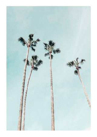 Tall palm trees against a pale blue sky, featured on the Tall Palms Plakat product page.
