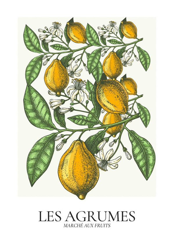 Les Agrumes Poster til stuen