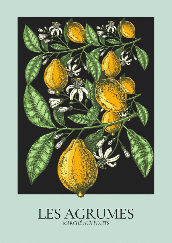 Poster Les Agrumes Grün
