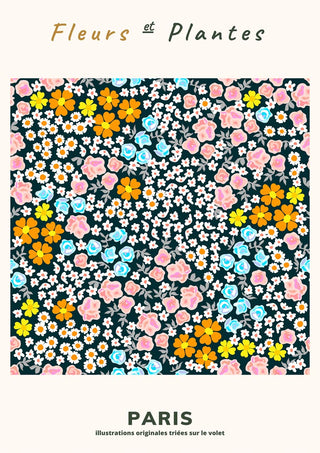 Poster of colorful pink, blue, white, and yellow flowers with "Fleurs et Plantes" and "Paris" text above and below.