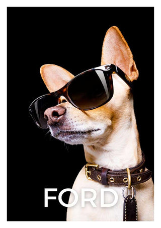 Dog wearing sunglasses on a black background with the word "FORD" below, promoting Cool as Ford Black.