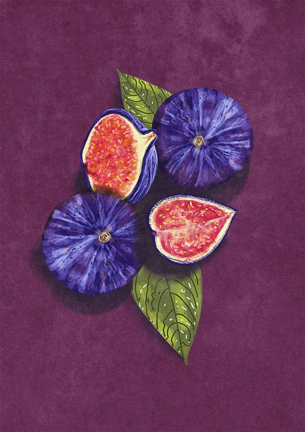Figs Still Life - Raissa Oltmanns