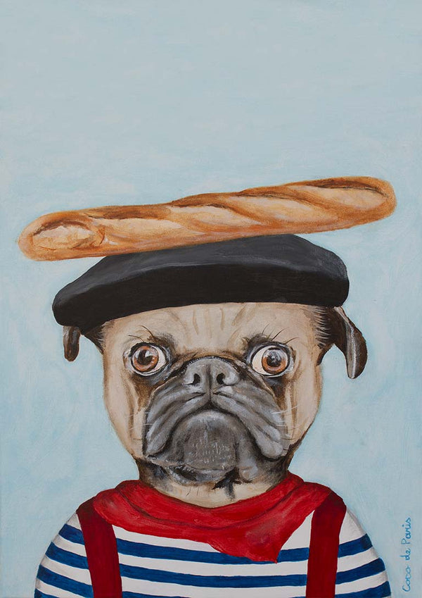 Französischer Mops - Coco de Paris