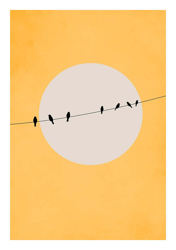 Chirping and Chilling - Boris Draschoff