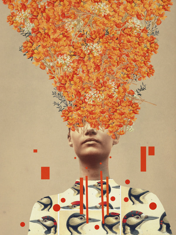 Vogelvlucht in de herfst - Frank Moth