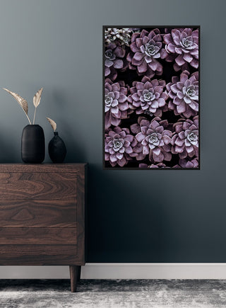 Framed Purple Sukkulent poster featuring purple succulents, displayed on a dark wall above a wooden dresser.
