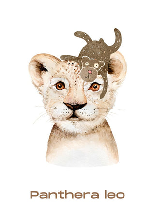 Illustration of a lion cub with a playful toy on its head, text "Panthera leo" below, for children's room decor.