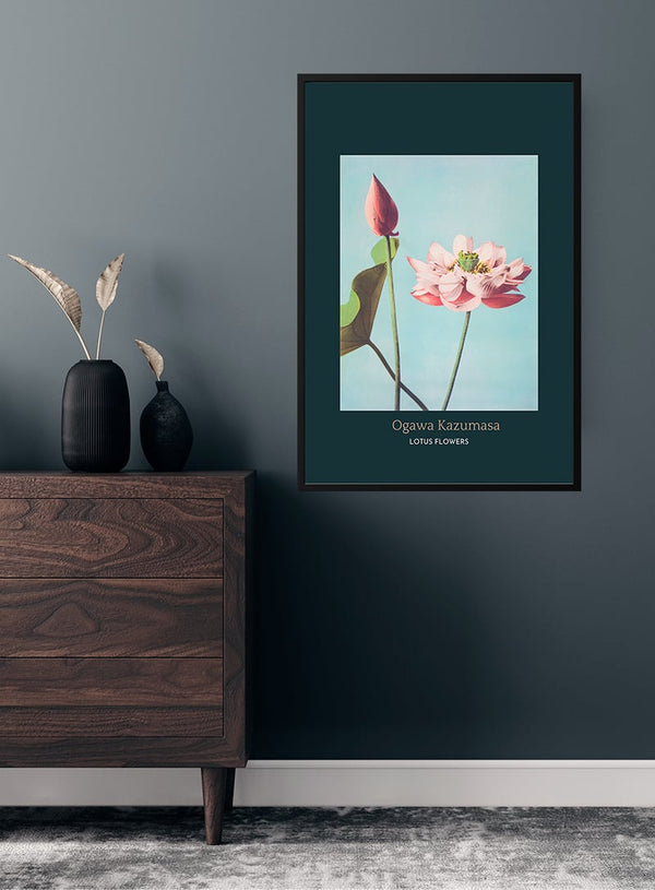 Lotus Flowers by Ogawa Kazumasa japansk kunstposter