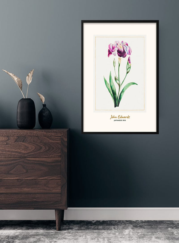 Japanese Iris by John Edwards japansk kunstposter