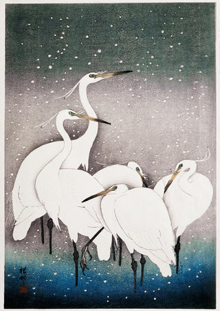 Japanese woodblock print of a group of white egrets by Ohara Koson, standing together in falling snow.