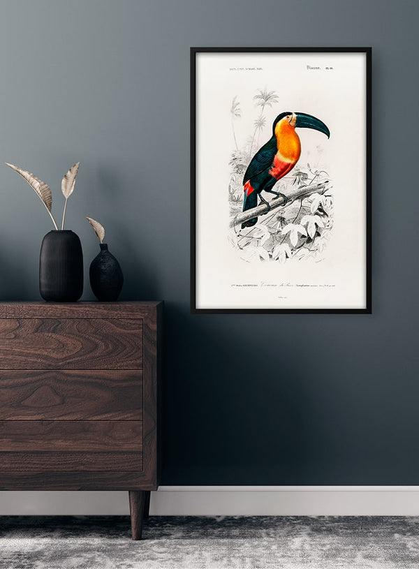 Toucan by Charles Dessalines Poster