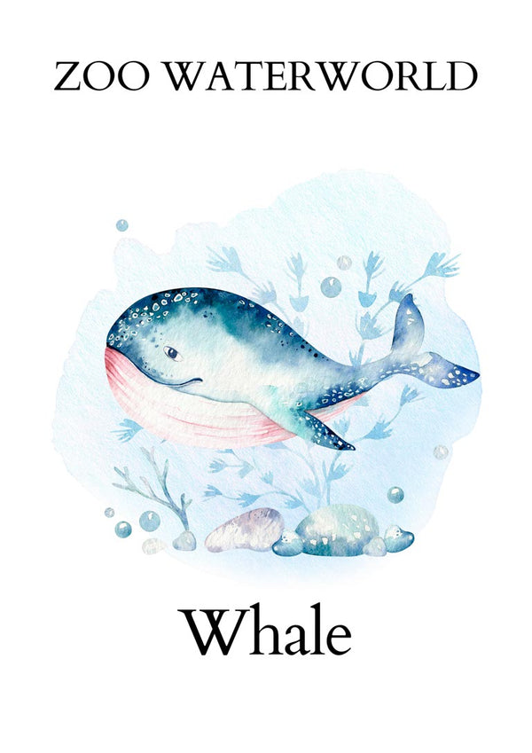 Zoo Waterworld - Whale Poster