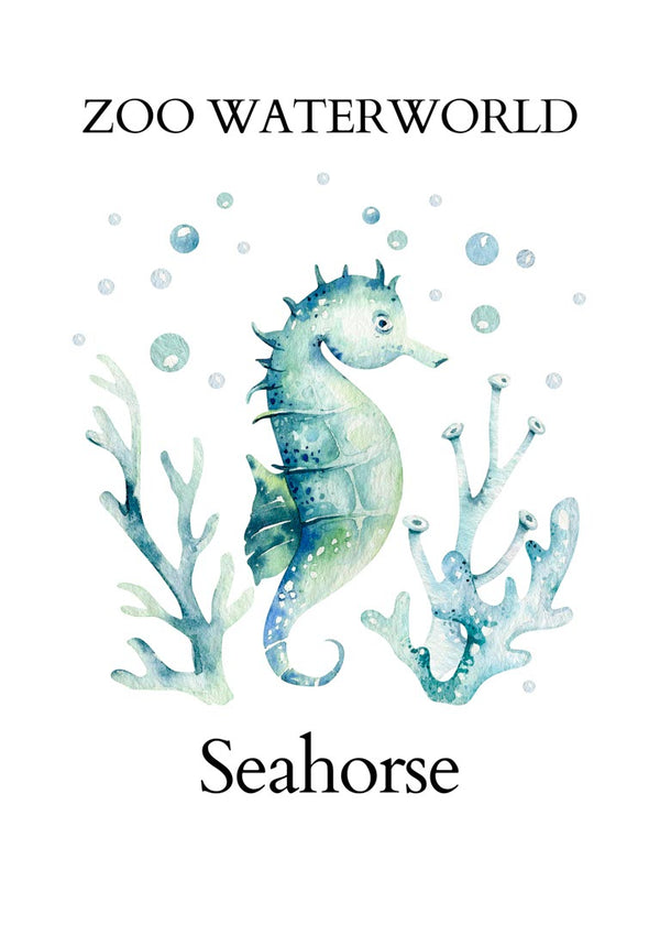 Zoo Waterworld Seahorse Poster