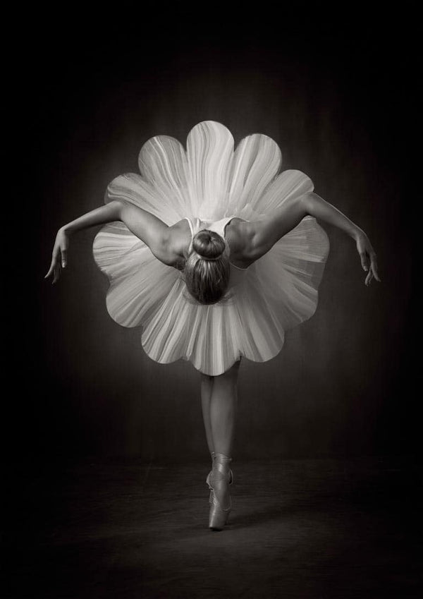 Floral Ballet - Catchlight Studio Poster