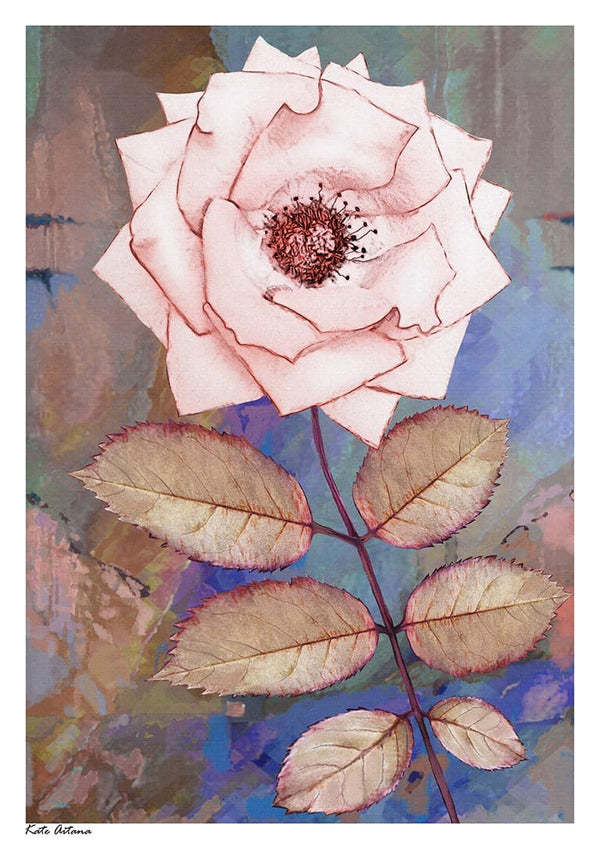 Pink Rose - Kate Aitana