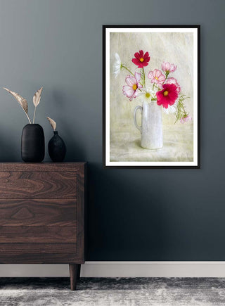 Framed print of Cosmos Carnival by Mandy Disher, showing pink and red cosmos flowers in a white jug.