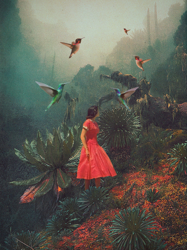 20 Seconds Before the Rain - Frank Moth