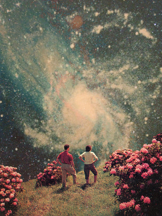 Two people stand among flowers gazing at a glowing galaxy, artwork from "There Will Be Light In the End" by Frank Moth.